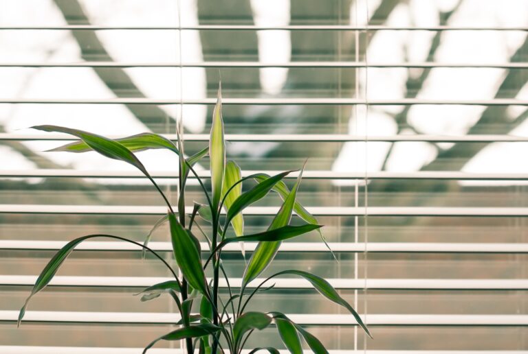How to Quickly and Easily Clean Your Blinds